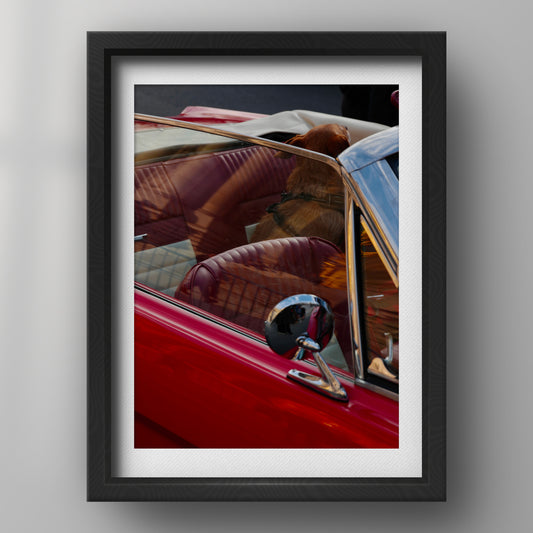 FRAME — 005